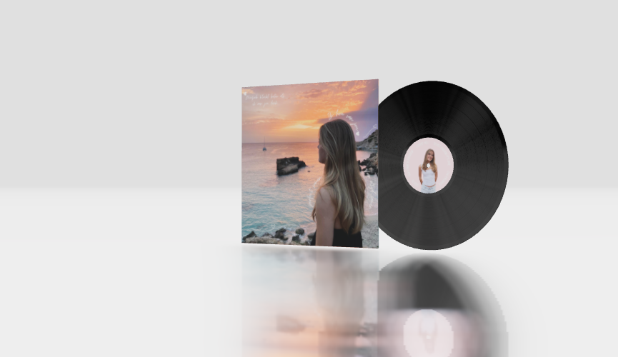 圆形 + 12英寸原版 + 标准版NOIR® 封面