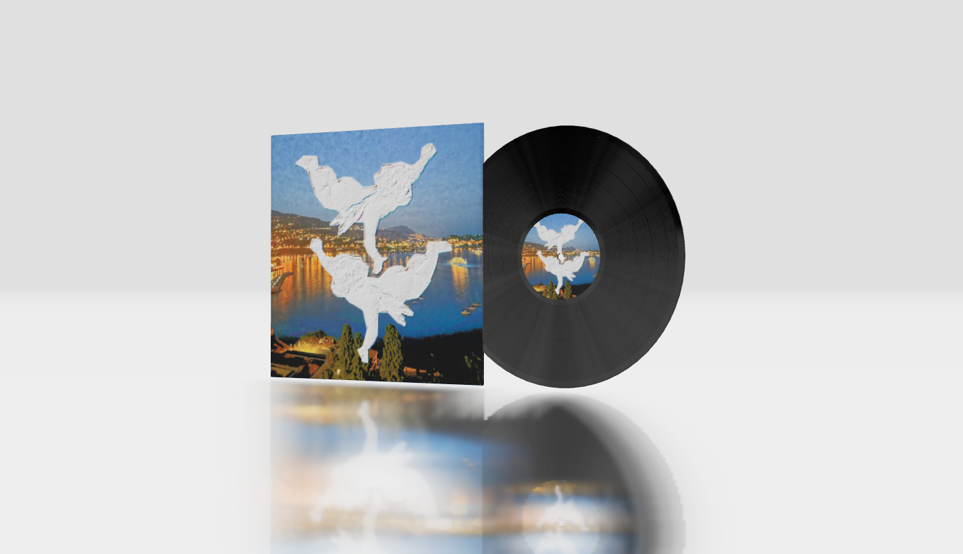 圆形 + 12英寸原版 + 标准版NOIR®  封面