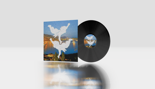 圆形 + 12英寸原版 + 标准版NOIR®  封面